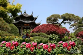 郭进拴｜花港观鱼记图片