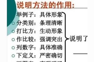 说明文的说明方法及其作用图