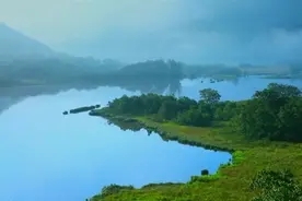 “南水”水质好，它的功劳不小图片