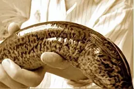 日本的噩梦，中国的美食！内含不易杀死寄生虫，却成餐桌“宠儿”图片