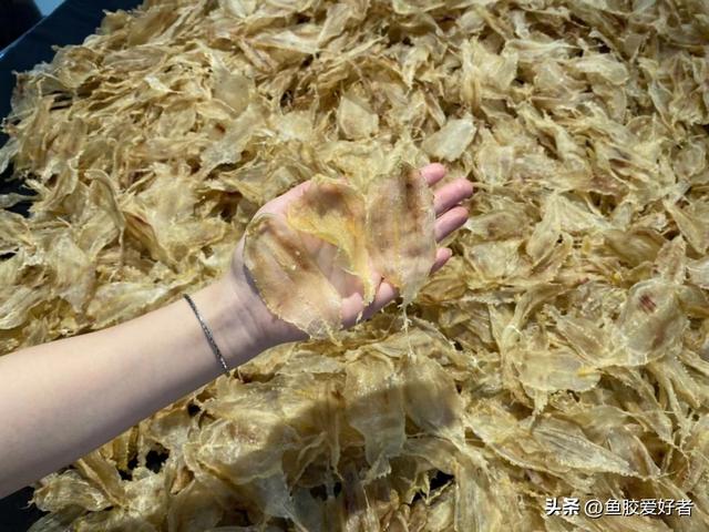 双背胶和黄花筒胶哪个好 双背胶和黄花筒胶哪个好一点