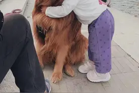 每天几块钱搞定狗皮肤病！我家狗子亲身试过图片