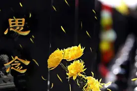 化解思念寻何途，沈阳西郊卧龙处图片