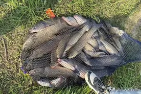 夏季钓草鱼，几款绝杀饵料配方，饵料对了口，大草鱼也能连竿图片