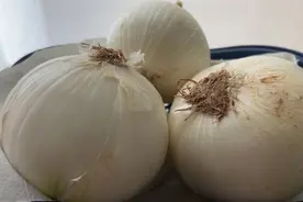 不同种类的洋葱，有不同的用处！口感和味道都不一样，教你怎么吃图片