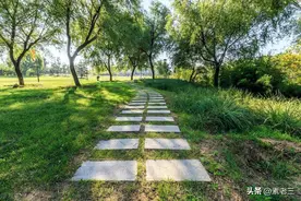 低欲望的生活图片