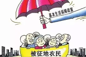 被征地农民社会保障待遇长期得不到落实，属于政府怠于履行法定职责图片