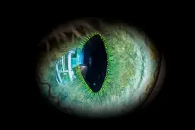 人类的真正起源 ——《莱瑟塔档案》解读（二）图片