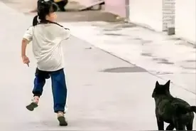 江苏邻居纵狗致9岁女童摔残拒赔！法院判了！图片