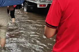 临时夫妻是正常现象还是道德沦丧图片