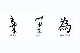 说文解字：为图片