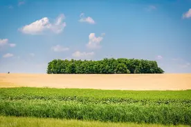 2023高考一轮复习 · 辨析修辞手法图片