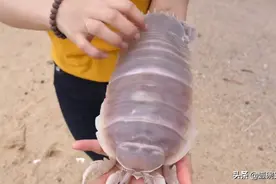 广东独特的“美食”，北方人表示不服，我们这里也有图片