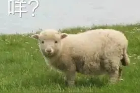 表情包|已读，不回，假笑图片