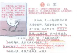部编版语文四年级下册第15课《白鹅》同步微课+图文讲解图片