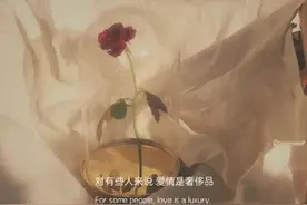 文案｜你要好好的 是故事的结束图片