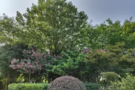 如何跑才能消耗脂肪多减肥快图片