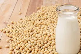 每日一个冷知识（豆浆）图片