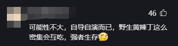 鱼身上长黑点怎么办