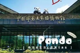 中国三大熊猫保护基地图片