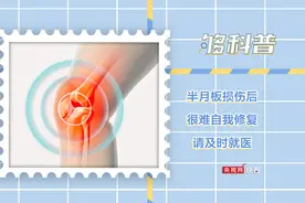 【够科普】半月板损伤后很难自我修复图片