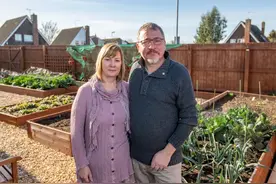 英国夫妇在自家花园里种菜，一年后收到一封信，高兴不起来图片