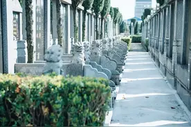祭扫在心不在形，清明前夕沪苏浙皖联合发出倡议书图片