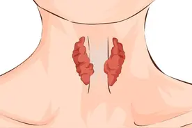 甲状腺异常会发出哪些信号？5种甲状腺病变对照食谱吃起来图片