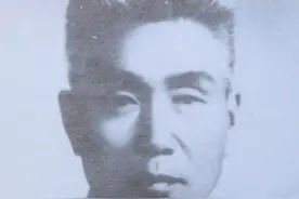 新四军第八团队，营级干部均授予将军，团政委林恺为何知道的不多图片