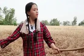 生产队的那些事（8）多劳多得，以量取酬图片