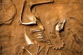 光绪年间最大旱灾中的离奇事件！青州山崩出现神秘山洞竟发现龙骨图片