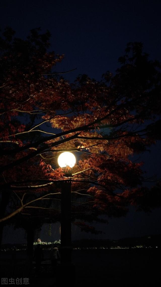 春江花月夜赏析