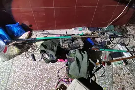 湖南一男子抓了两条剧毒银环蛇被捕！专家：为保护动物，每条1000图片