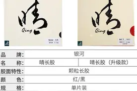 颗粒长胶胶皮 那些年驰骋球场的颗粒大魔王(国产篇）图片