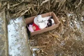陕西12岁男孩路边捡一女婴，执意将她养大，娶个妻子回来当“娘”图片
