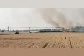 安徽一男子恶意纵火烧掉多个村庄麦子，村民：他跑不掉图片