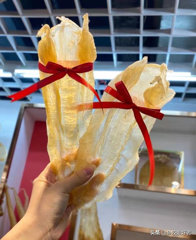 佐罗鱼胶图片 2025年佐罗鱼胶好不好