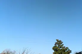 绩效奖金最新消息：湖北宜昌基础绩效奖和年度考核奖执行既定方案图片