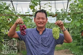 葡萄产业的孤勇者：不要让人说，中国是没有好品种的图片