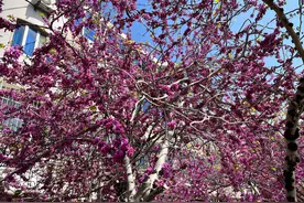 我曾经经历过一起特别的小车祸图片