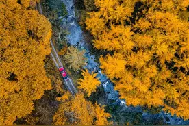 11月秦岭脚下这7条自驾路线，打包封神级别秋色，下车直接美哭！图片