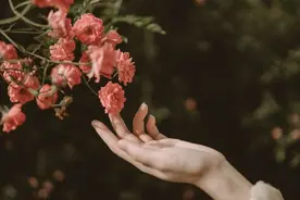 我又想你了，很想，很想你图片