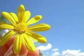 煤气灶的左边还是右边炒菜？你们都怎么用的？图片