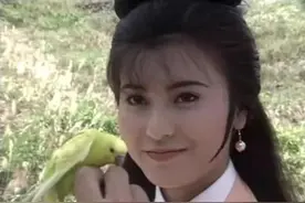 《碧血青天杨家将》展昭再见爱人，她已是庞妃，注定虐恋图片