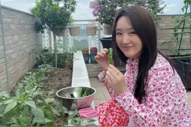 杨钰莹在豪宅种菜，50多岁如少女，养花逗狗，生活自在图片