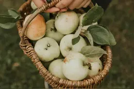 男怕三六九，女怕二五八 这句古彦语知道什么意思嘛图片