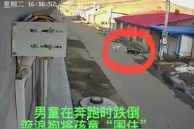 揪心！监控拍下的一幕：被一群流浪狗追逐的男童最终怎么样了？！图片