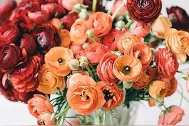 既复杂通透又有傲气的星座，能屈能伸，暂时的隐忍只为了翻盘图片