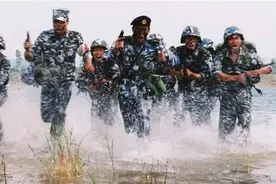 揭秘海军陆战队：由6个陆战合成旅、1个特种作战旅、航空旅构成图片