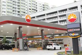 盘点世界上最大的10家顶级石油公司，中石油、中石化排第几名？图片
